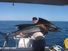 The Skipper (Wayne) & the Sailfish Onslow